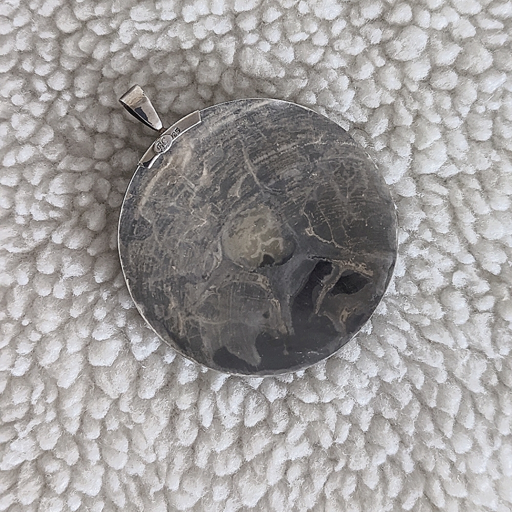 A Shell Pendant! - Picture 5 of 7